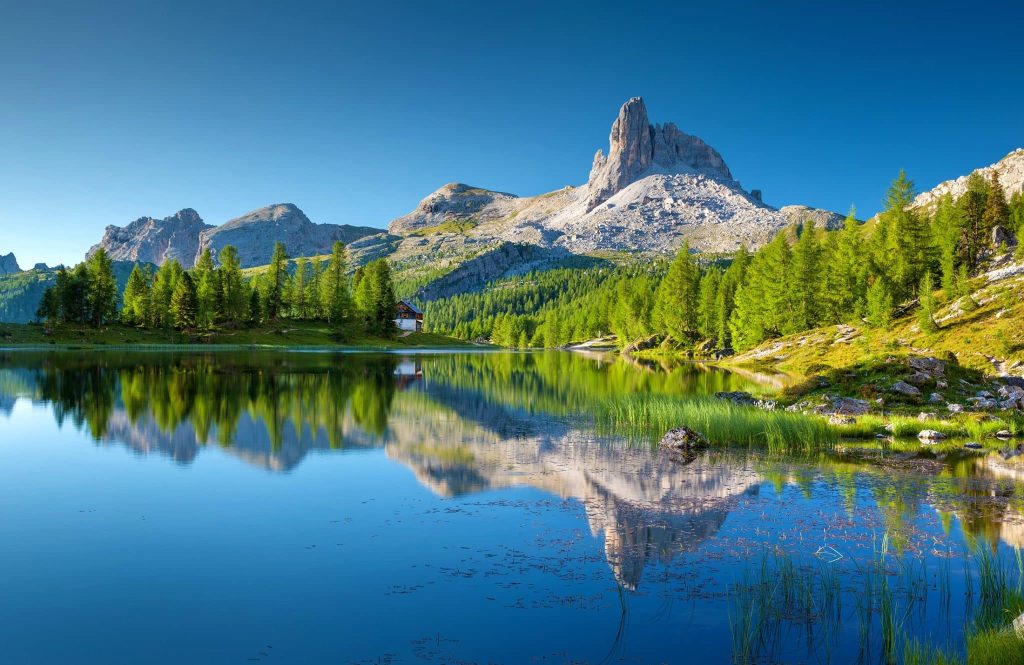 Reflecting on Earth Day, A Businessman’s Personal Pledge