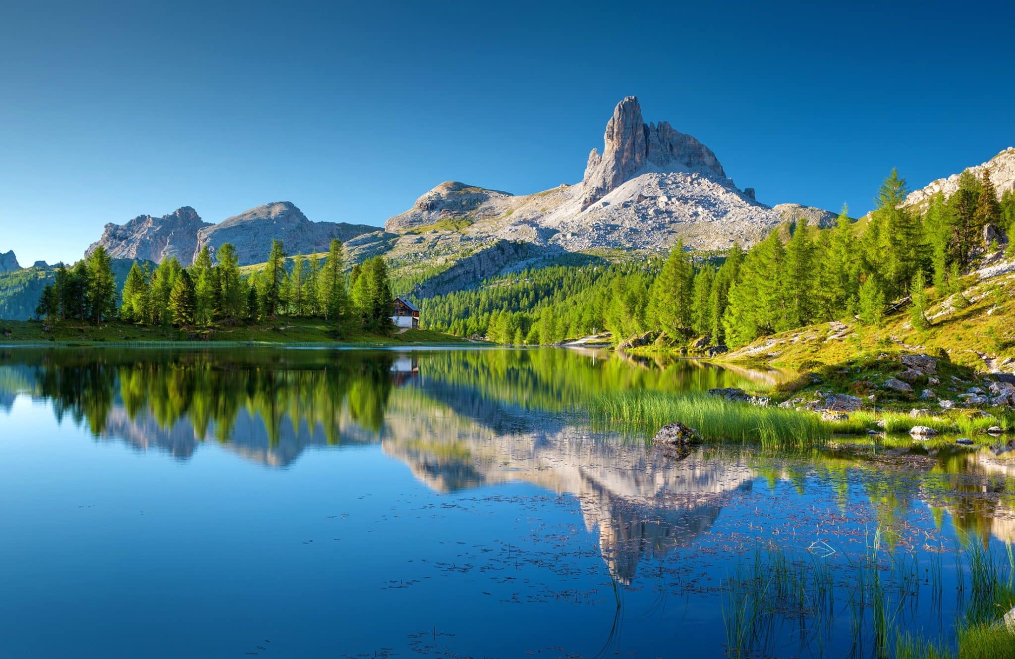Reflecting on Earth Day, A Businessman’s Personal Pledge