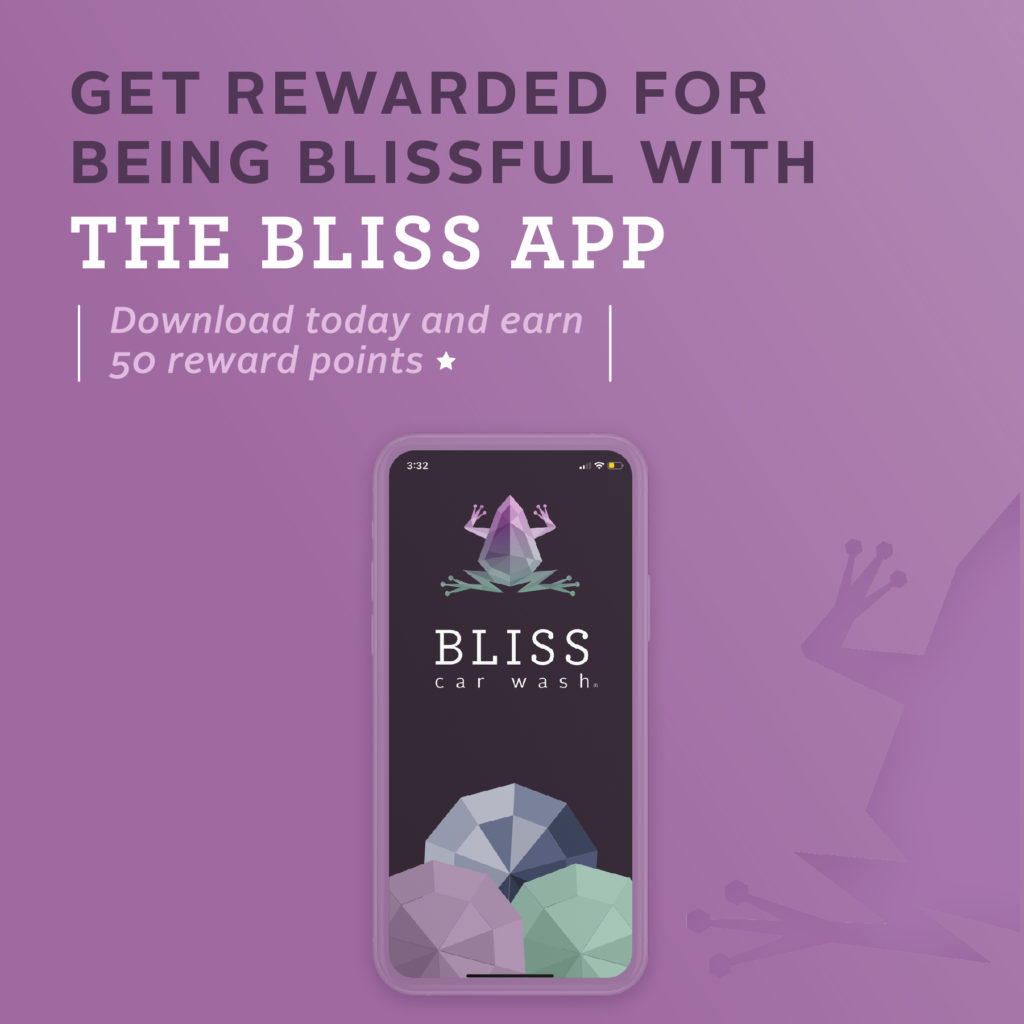 Download The Free Bliss App For Any Easy Way To Stay In Touch