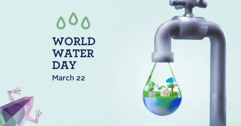 World Water Day, Water Warriors - Bliss Car Wash