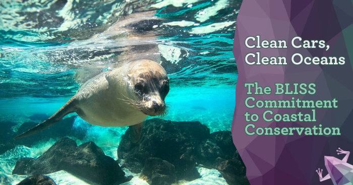Clean Cars, Clean Oceans: The BLISS Car Wash Commitment to Coastal Conservation