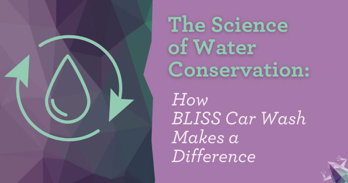 Water is undoubtedly one of our planet's most precious resources, and as concerns over its scarcity grow, businesses worldwide are taking steps to contribute to sustainable water usage.
