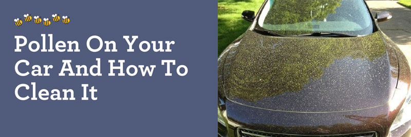 Pollen On Your Car And How To Clean It