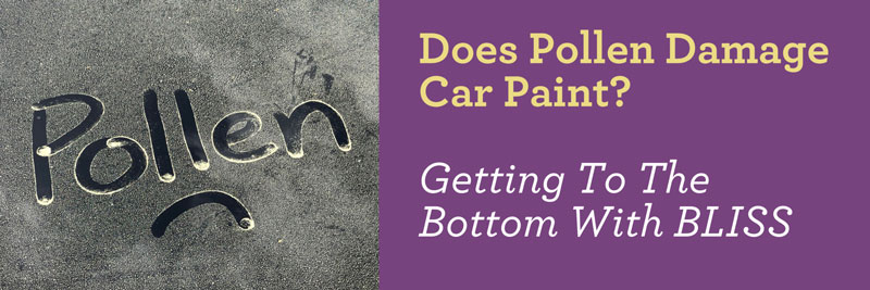 Does Pollen Damage Car Paint? Getting To The Bottom With BLISS