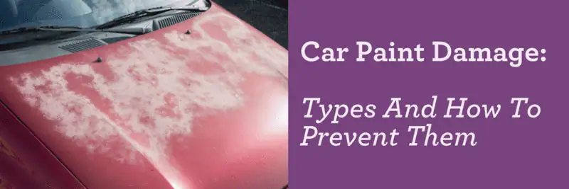 Car Paint Damage Types And How To Prevent Them