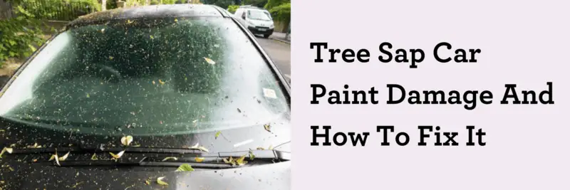 Tree Sap Car Paint Damage And How To Fix It