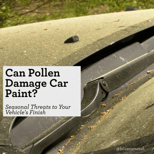 Can Pollen Damage Car Paint? Seasonal Threats to Your Vehicle's Finish