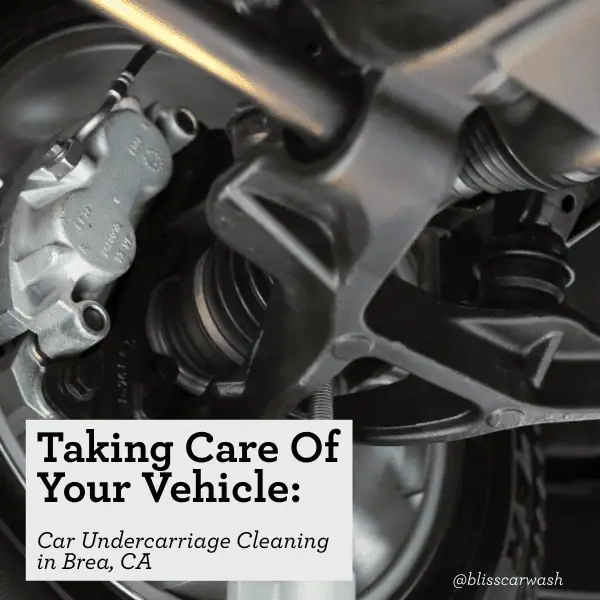 Taking Care Of Your Vehicle: Car Undercarriage Cleaning In Brea